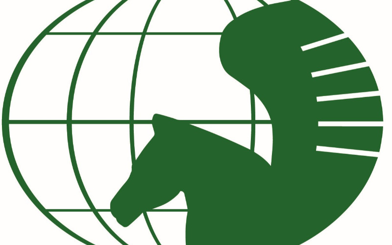 Vorstandswahlen 2024 - Die Kandidat:innen stellen sich vor